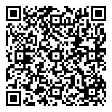 qr-code-catalogo